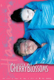 Cherry Blossoms Posters