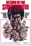 Return of the Streetfighter Poster