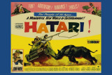 Hatari Poster