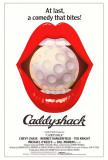 Le Gold en folie Posters