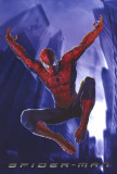 Spider-Man Affiches