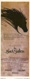 Semental negro Pósters