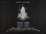 The Fly Photo