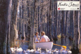 The Notebook - Posterler