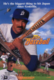 Mr. Baseball Posters