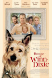 Because of Winn Dixie Posters