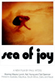 Sea of Joy Posters