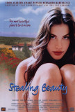 Stealing Beauty Posters