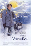 White Fang Kunstdrucke