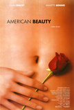 American Beauty Kunstdruck