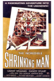 The Incredible Shrinking Man Posters