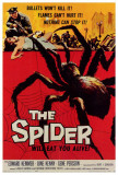 La araña Pósters La araña Pósters