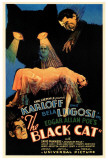 The Black Cat Print