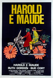 Harold ja Maude Poster