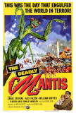 The Deadly Mantis Photo