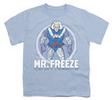 Youth: DC-Mr Freeze Camisa