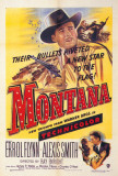 Montana Affiches