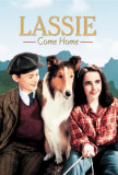 Lassie Come Home Posters