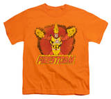 Youth: DC-Ring Of Firestorm T-Shirts