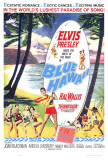 Blue Hawaii Posters