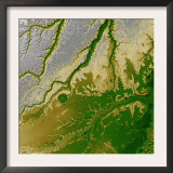 Bolivian Amazon Print by Stocktrek Images 