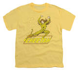 Youth: DC-The Cheetah T-shirts