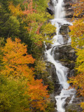 Silver Cascade Waterfall in White Mountains in Autumn, Crawford Notch State Park, New Hampshire Reprodukcja zdjęcia autor Jerry & Marcy Monkman Silver Cascade Waterfall in White Mountains in Autumn, Crawford Notch State Park, New Hampshire Reprodukcja zdjęcia autor Jerry & Marcy Monkman
