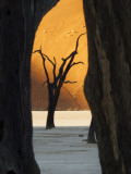 Dead Trees Silhouetted Against Sand Dune at Dead Vlei, Sossusvlei, Namibia, Africa Photographic Print by Wendy Kaveney