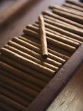 Cigars at La Leyenda Del Cigarro Cigar Factory, Santo Domingo, Dominican Republic Fotoprint van Walter Bibikow Cigars at La Leyenda Del Cigarro Cigar Factory, Santo Domingo, Dominican Republic Fotoprint van Walter Bibikow