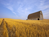 Woman Photographing Barn Near Pullman, Washington, USA Photographic Print by Chuck Haney