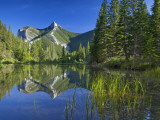 Wind Mountain Reflects in a Beaver Pond in the Lewis and Clark National Forest, Montana, USA Photographie par Chuck Haney