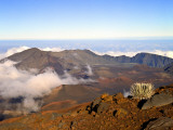 Haleakala Crater From Crater Rim and Silversword in Foreground Haleakala National Park, Maui, HI Photographic Print by Bernard Friel