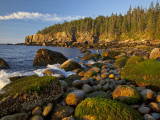 Polished Rocks at Otter Cliffs, Acadia National Park, Maine, USA Photographic Print by Chuck Haney