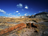 Long Petrified Log at Blue Mesa, Petrified Forest National Park, Arizona, USA Photographic Print by Bernard Friel