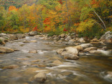 River Flowing Trough Forest in Autumn, White Mountains National Forest, New Hampshire, USA Photographic Print by Adam Jones