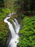 Sol Duc Falls in Olympic National Park, Washington, USA Photographie par Chuck Haney