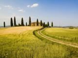 Tuscan Villa Nearing Harvest, Tuscany, Italy Photographic Print by Terry Eggers