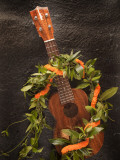 Koa Ukulele, Hawaii, USA Photographic Print by Douglas Peebles