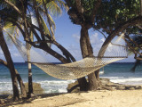 Hammock Tied Between Trees, North Shore Beach, St Croix, US Virgin Islands Photographic Print by Alison Jones