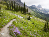 Highline Trail To Granite Park Chalet, Glacier National Park, Montana, USA Photographie par Jamie & Judy Wild
