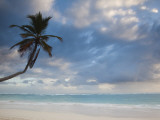 Bavaro Beach Palms at Dawn, Bavaro, Punta Cana Region, Dominican Republic Photographic Print by Walter Bibikow