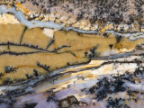 Close-Up of Amethyst Sage Agate, Nevada, USA Lámina fotográfica por Dennis Kirkland
