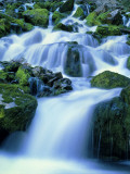 Periodic Spring During Period of High Flow, Salt River Range, Bridger-Teton National Forest, WY Photographic Print by Scott T. Smith