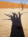 Dead Tree Casts Shadow on Dry Lakebed, , Sossusvlei, Namibia, Africa Fotografisk tryk af Wendy Kaveney Dead Tree Casts Shadow on Dry Lakebed, , Sossusvlei, Namibia, Africa Fotografisk tryk af Wendy Kaveney