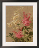 Red and Painted Trillium Prints