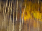 Autumn Colors Reflect in the Calm Water of Price Lake, Blue Ridge Parkway, North Carolina, USA Photographic Print by Chuck Haney