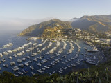 Boats Anchored in Catalina Harbor, Catalina Island, California, USA Photographic Print by Adam Jones
