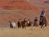 Cowboys Herding Horses in the Big Horn Mountains, Shell, Wyoming, USA Photographie par Joe Restuccia III