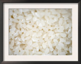 Grains Close up Prints by Nicole Katano