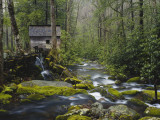 Watermill By Stream in Forest, Roaring Fork, Great Smoky Mountains National Park, Tennessee, USA Photographic Print by Adam Jones